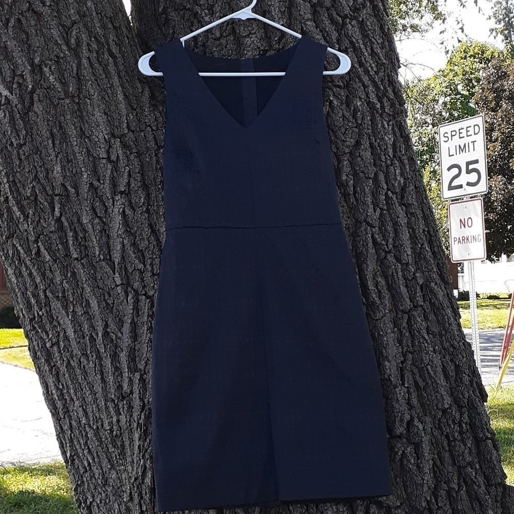 Banana Republic Sexy Little Black Dress Mesh Panel‎
